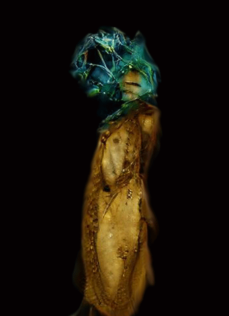 Manuela Johanna Covini