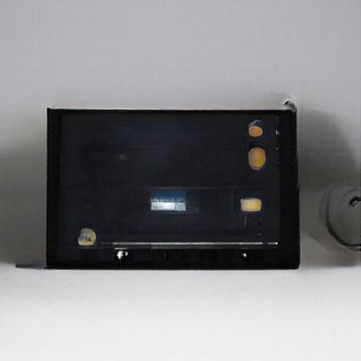 Manuela Johanna Covini