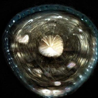 Manuela Johanna Covini