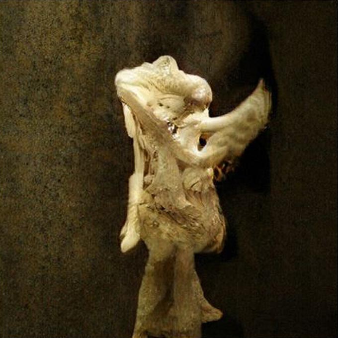 Manuela Johanna Covini