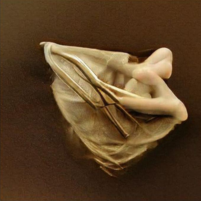 Manuela Johanna Covini